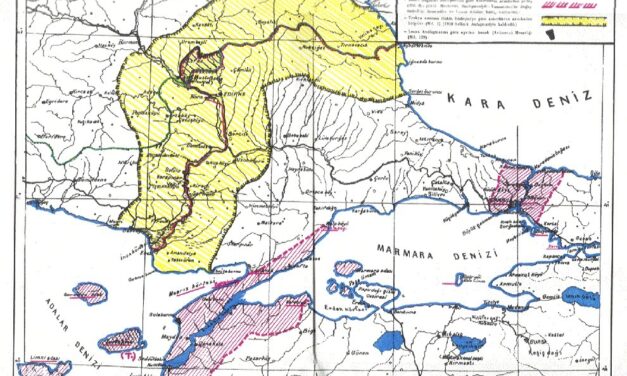 1981 Limni Adası’nın Silahlandırılması Krizi